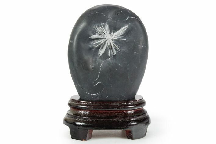 Polished Chrysanthemum Stone in Wood Base - China #352111